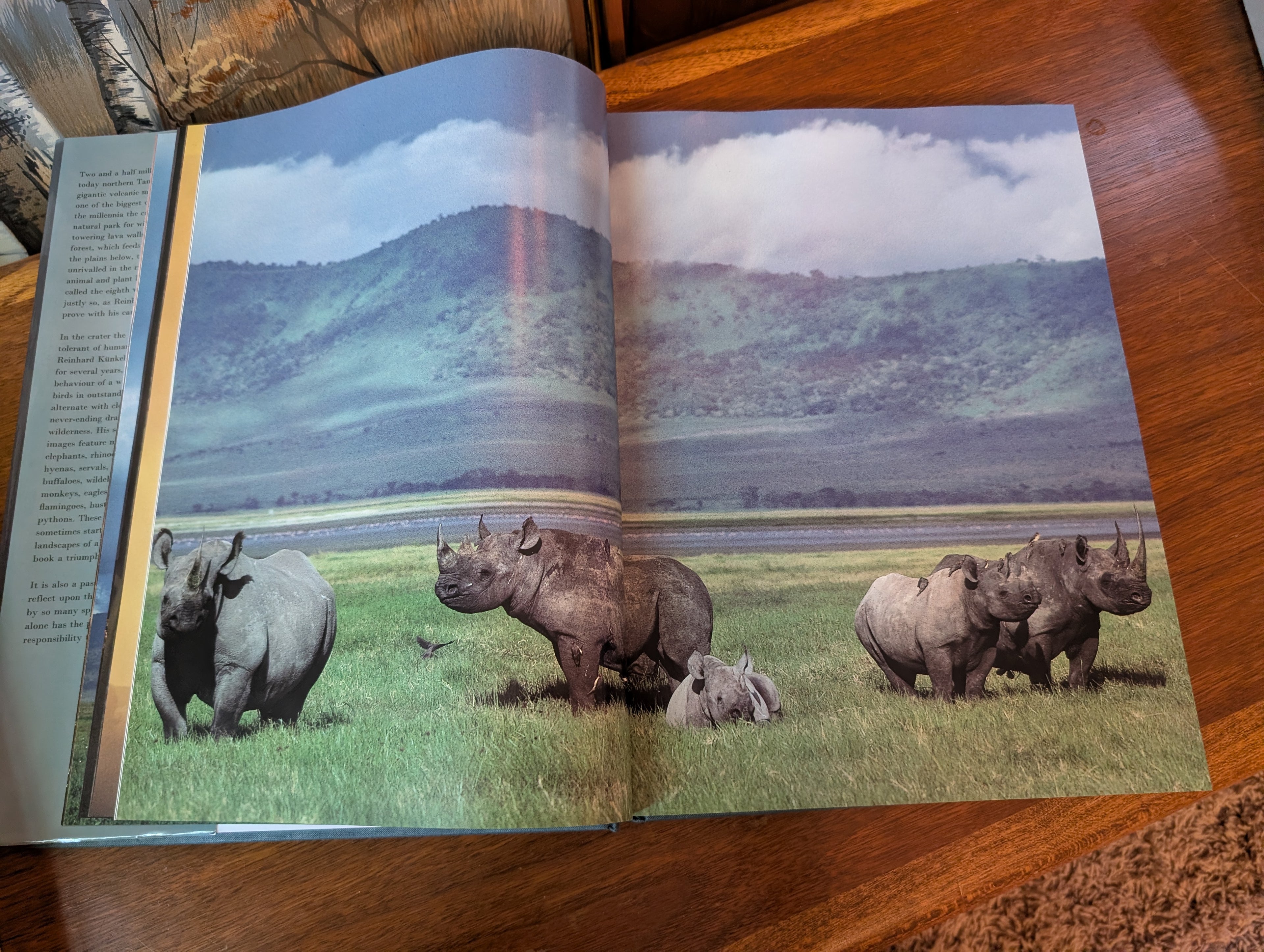 Ngorongoro by Reinhard Kunkel — First US Edition, First Printing, HarperCollins 1992