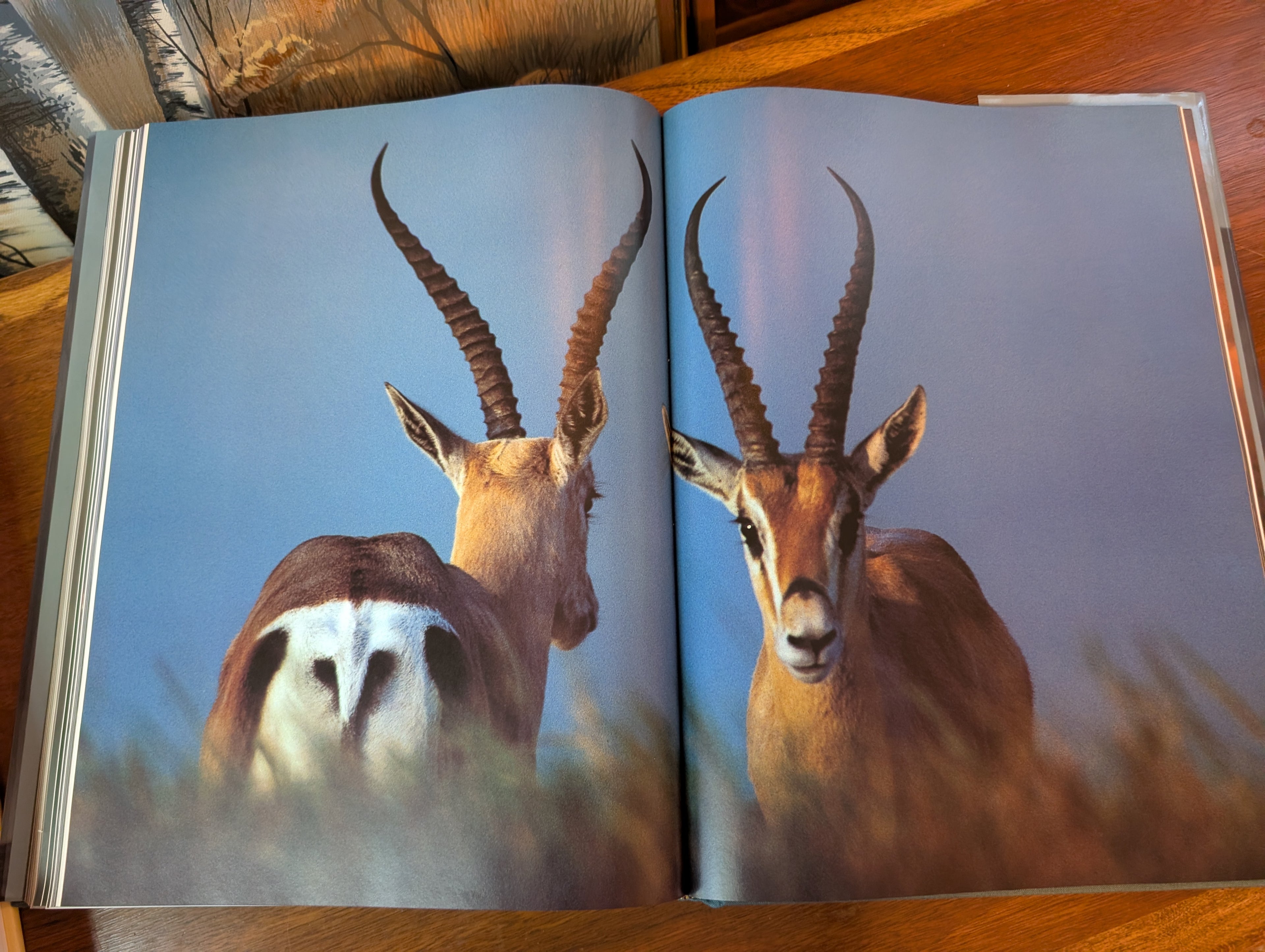 Ngorongoro by Reinhard Kunkel — First US Edition, First Printing, HarperCollins 1992